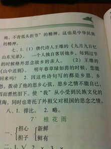 我的文明之家作文600字作文开头和结尾