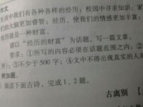 经历的财富的作文开头