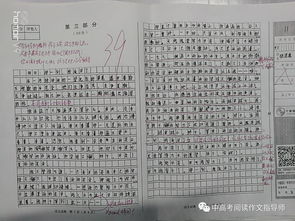那一刻我流泪了作文的开头怎么写