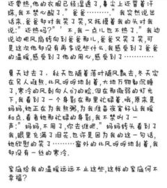 雨中的温暖作文开头