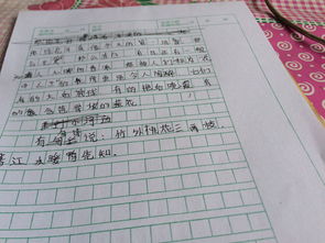 作文,开头,春天,简单