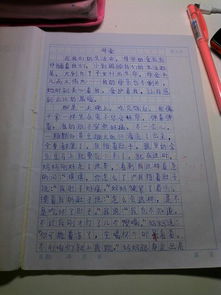 谈爸爸妈妈的爱作文500字作文开头
