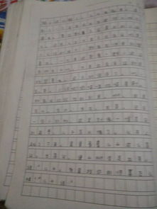放假第一天作文开头