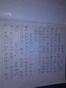自信节的作文的开头