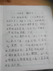 校园里的启示作文600字作文开头