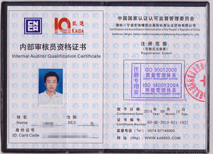 ISO 9000内部审核技巧(ISO9000内审员的审核技巧)