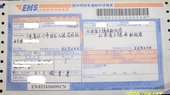 如今才知道的作文开头