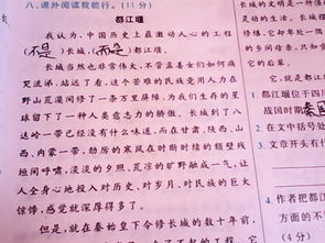 乐在其中开头作文开头