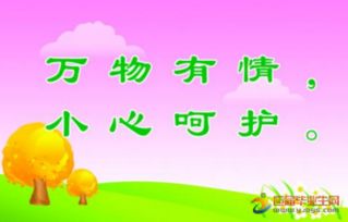 爱护林木标语(林木管护宣传标语)