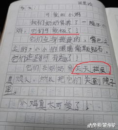那个可爱的她作文开头,可爱的小狗作文开头,可爱的小白兔作文开头