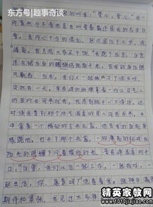 好作文开头小学