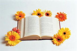 中考作文设置悬念开头