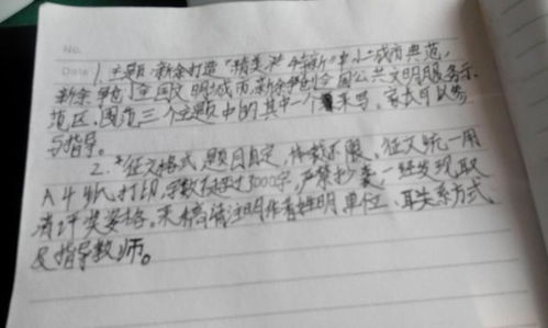 社会文明体验活动作文开头
