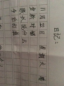 关于反省作文的开头