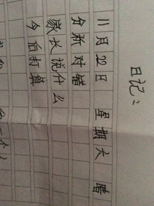 关于反省作文的开头