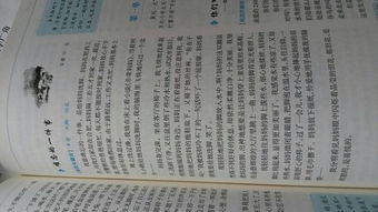 发现生活中的道理五级作文开头