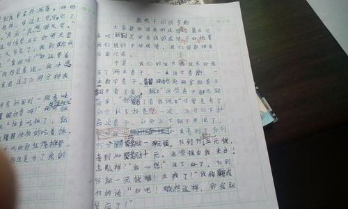 书给我的帮助作文600字作文开头