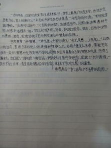 描写环境的优美作文开头结尾摘抄