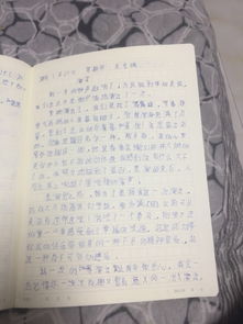 记得一次精彩的表演600字作文开头