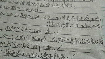 以秀为主题的作文开头
