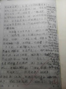 爱的作文开头优秀作文