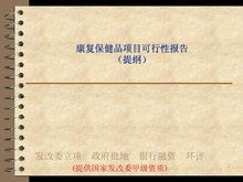保健品分公司项目可行性报告(项目可行性报告)