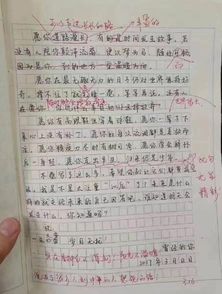 初二读后感作文开头