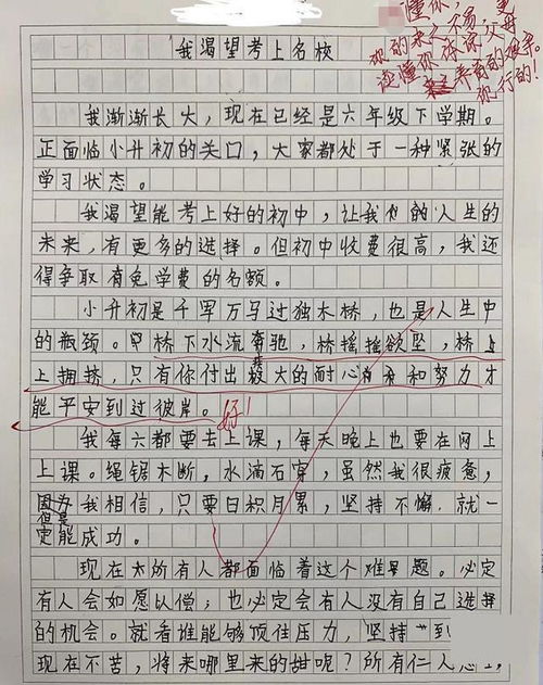 作文父母的开头结尾