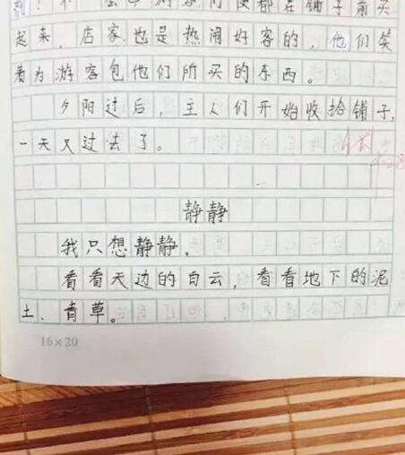 写同桌女生开头作文600字
