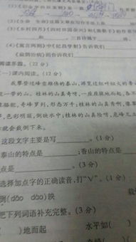 生活需要坚持作文开头排比句