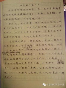 一次难忘100字作文开头结尾