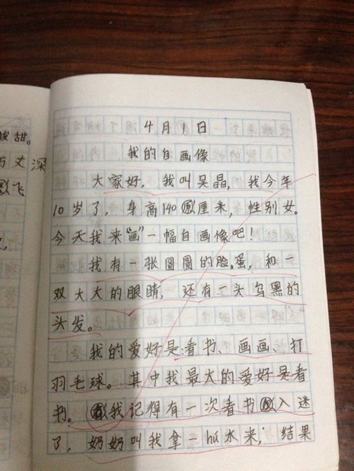 描写景物的特点加自我感受作文开头
