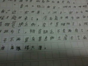 作文,开头,家乡