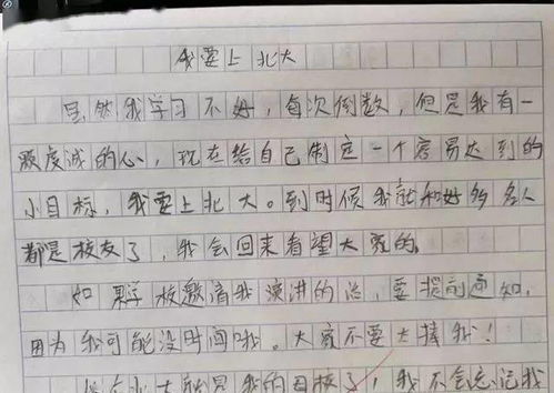 北京游记小学生作文开头