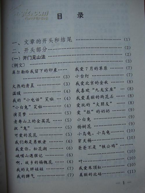 优秀的作文开头高中作文600字