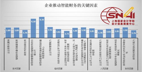 学校财务自我检查报告(学校评估自我检查报告)