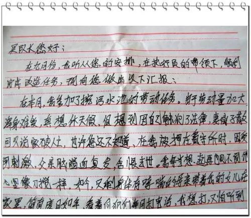 社区矫正人员的思想总结(社区矫正办人员的工作小结)