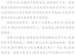形容孝顺作文开头和结尾