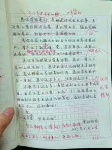 鹿群恍然大悟为开头写作文
