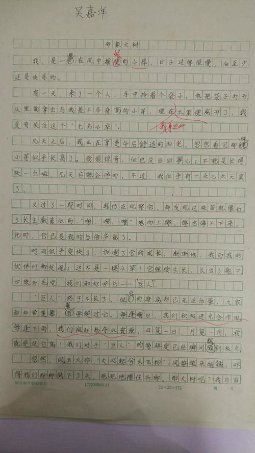 四级写事写人精彩作文开头