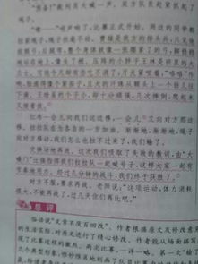 拔河比赛记叙文600字作文开头