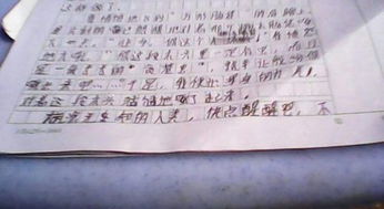 我懂得了珍惜幸福作文开头结尾