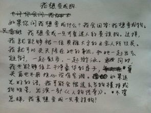 作文,小狗,开头,方式