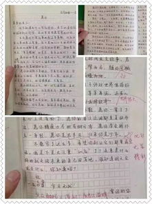 母亲小传作文600字初二开头