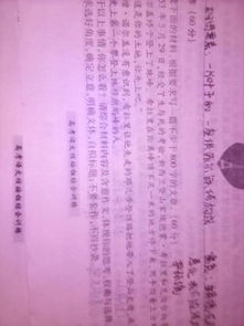作文,开头,荣誉,家庭