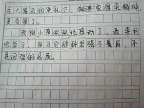 闯关作文的开头和结尾