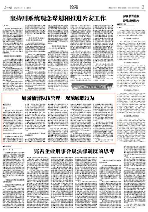 公安民()