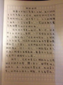 给我一点点作文开头结尾