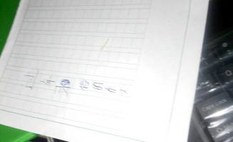 家乡的风俗作文600字(春节)开头结尾