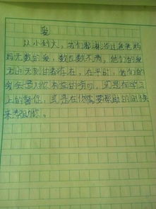 母爱诗句的作文开头作文题目